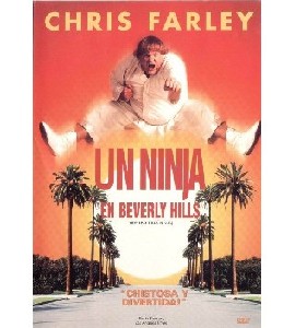 Beverly Hills Ninja