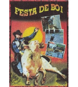 Festa de Boi