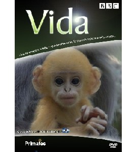 BBC Life - 10 Primates