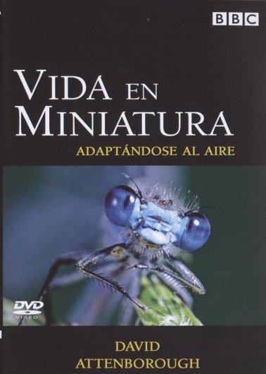 Life in the Undergrowth - 2 - Taking to the Air