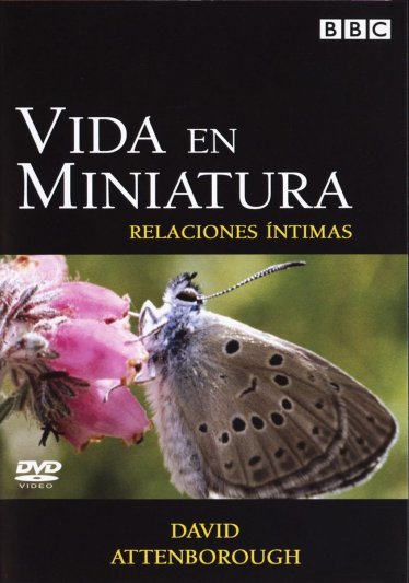 Life in the Undergrowth - 4 - Intimate Relations