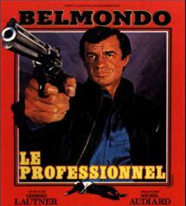 Le professionnel