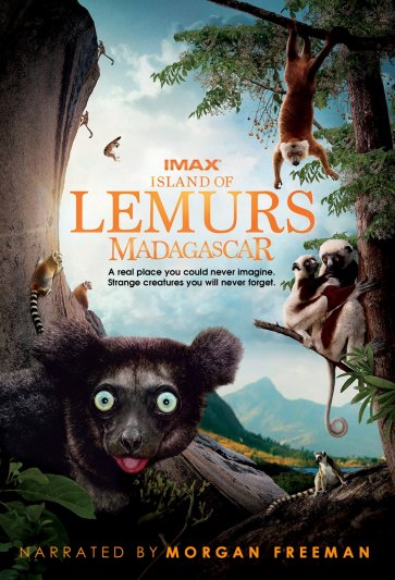 Isla de lemures madagascar