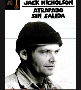 One Flew Over the Cuckoo's Nest
