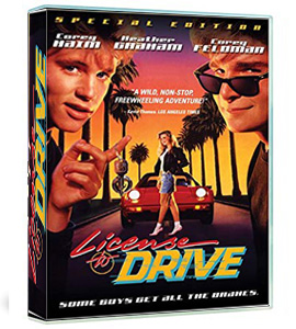 License to Drive