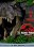 Jurassic Park II - The Lost World