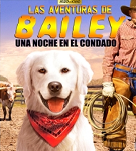 Adventures of Bailey: A Night in Cowtown