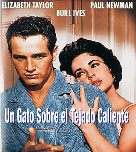 Cat on a Hot Tin Roof