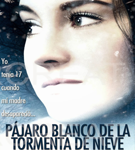 White Bird in a Blizzard