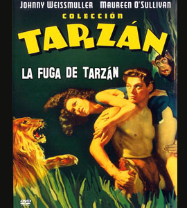 Tarzan Escapes