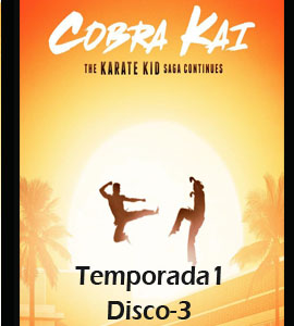 Cobra Kai (Serie de TV) Season 1 Disc-3