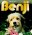 Benji