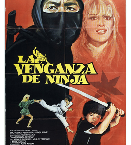 Revenge of the Ninja